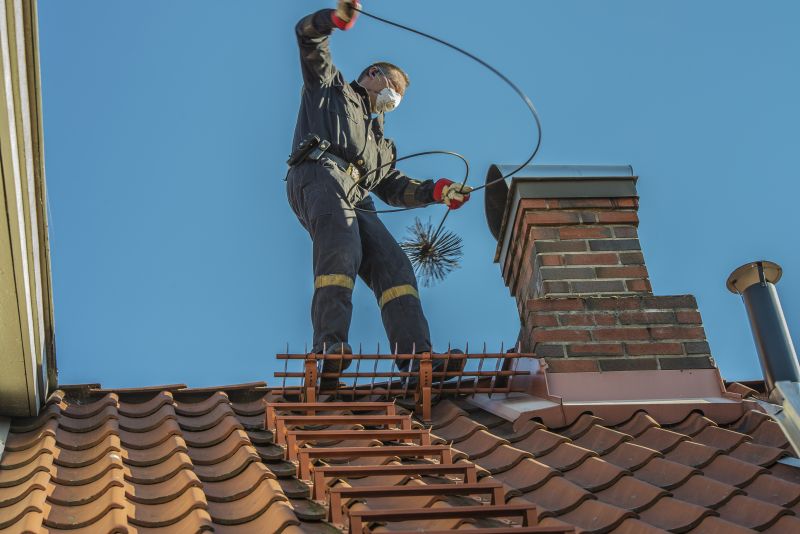 Chimney Inspecting